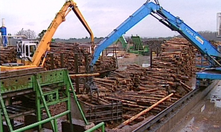 Le bois, ressource naturelle - Introduction - 1mn 45s